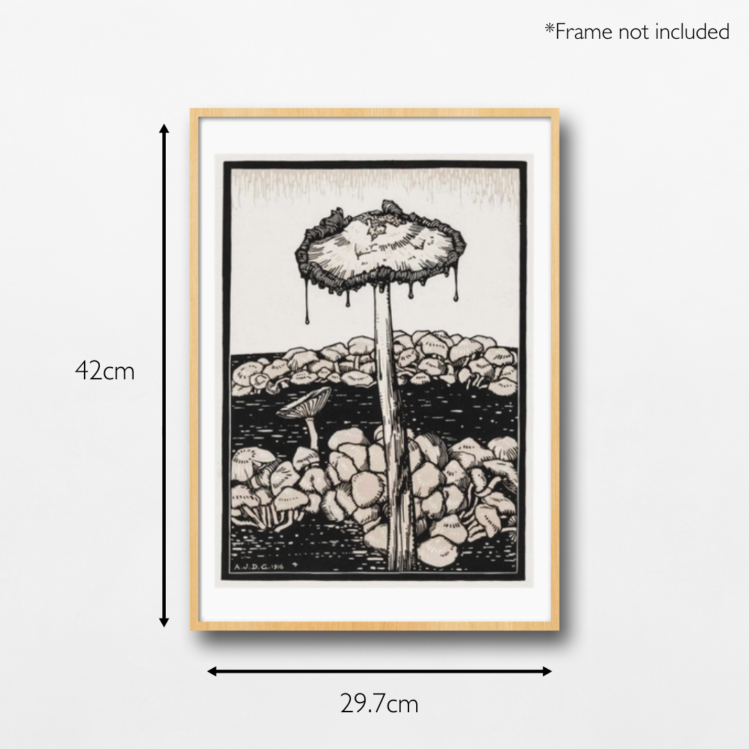 Mushrooms Julie De Graag Vintage Print - A3